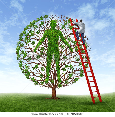 stock-photo-patient-care-health-care-and-medicine-symbol-od-medical-illness-prevention-with-a-growing-green-107059616