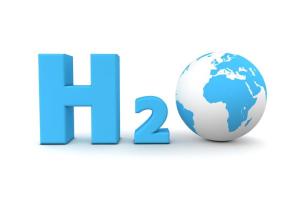 h2 globe.jpg