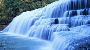 images (4)